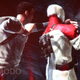 Image for article titled Microsoft E3 Keynote Archive